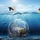 VOCE SABIA DISCOVERY
