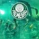 Palmeirascortes016