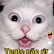 Curiosidade Animal🌹