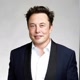 Elon musk cortes