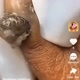 limaluma estética