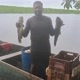 irmãos da pesca