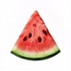 LINCE MELON