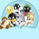 BABY LOONEY TUNES PV