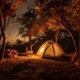 Floresta acampamento