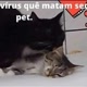 Nina e Mia vítimas da felv