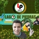 Animais Selvagens Lego de piedras