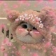 softdrugs