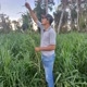 Leonan Alves401