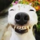 COMEDIA HUMOR FUNNY ENTRETENIMENTO