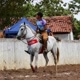 vaqueiro