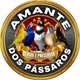 Amante dos Pássaros Oficial