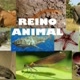 Reino