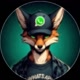 histórias de WhatsApp