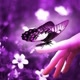 🦋💜🌻🦋