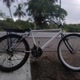 rdzin_s244