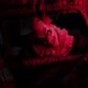 terror psicológico