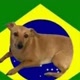 caramelo