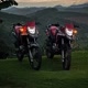 XLF_ARAUJO