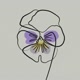 Pansy