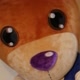fofocadodiabrasil