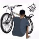 244_bikes
