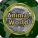 Animal World