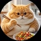 Orange Cat899