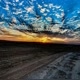 ابو البراء