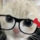 stevideos_