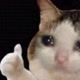 Memes