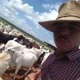 Nilton Alves