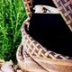 مجاهد في سبيل الله