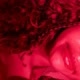 Japinha_xp