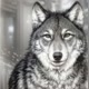 Wolf 🐺