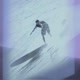 surfer's paradise