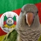 kennyslowbird