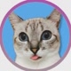 JansenGato