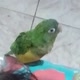 mykeiasdacosta