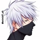 ANIMIX_FF