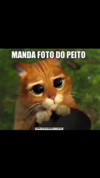 peito meme foto | Discover