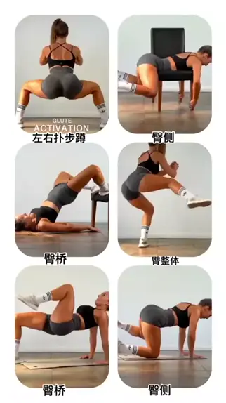 巨臀达 | Discover