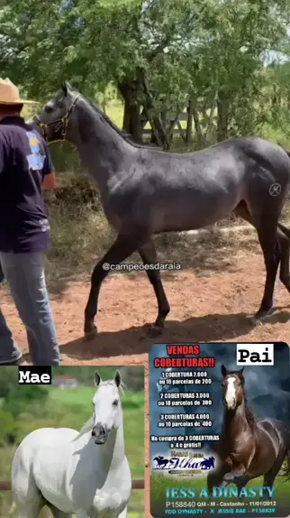 @jessiexraee Discover