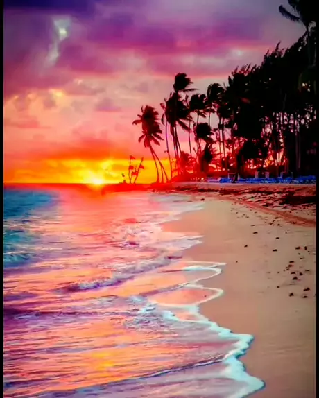 michabubbles leak & summerxbee of leaks| Discover