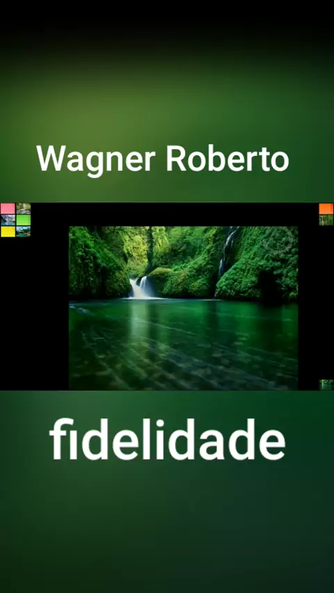 Fidelidade - Wagner Roberto - voz - HD 