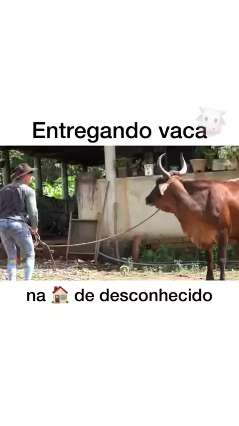 VÍDEOS ENGRAÇADOS 😂🤣#videos #videos #videosdehumor #humor #comedia #, Funny Videos