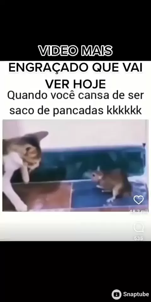 O vídeo mais ENGRAÇADO que vais ver HOJE ! 