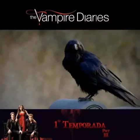 the vampire diaries 1 temporada topflix