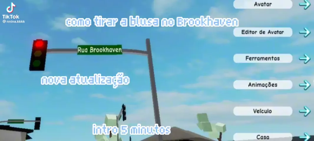 Códigos brookhaven!! em 2023  Fotos de capivara, Roblox, Roupas de  personagens