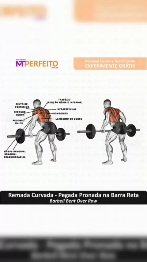 Remada Curvada - Pegada Supinada com Barra Reta - Meu Treino Perfeito